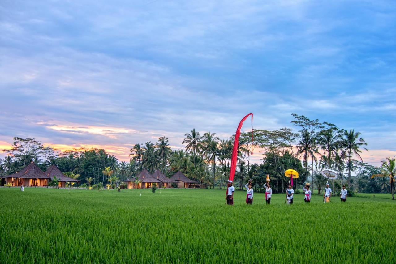 Intan Villa & Suite Ubud Buitenkant foto