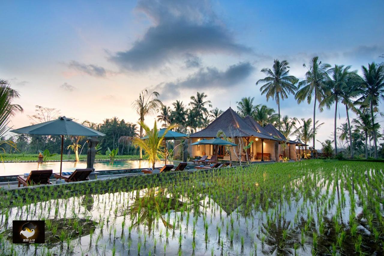 Intan Villa & Suite Ubud Buitenkant foto