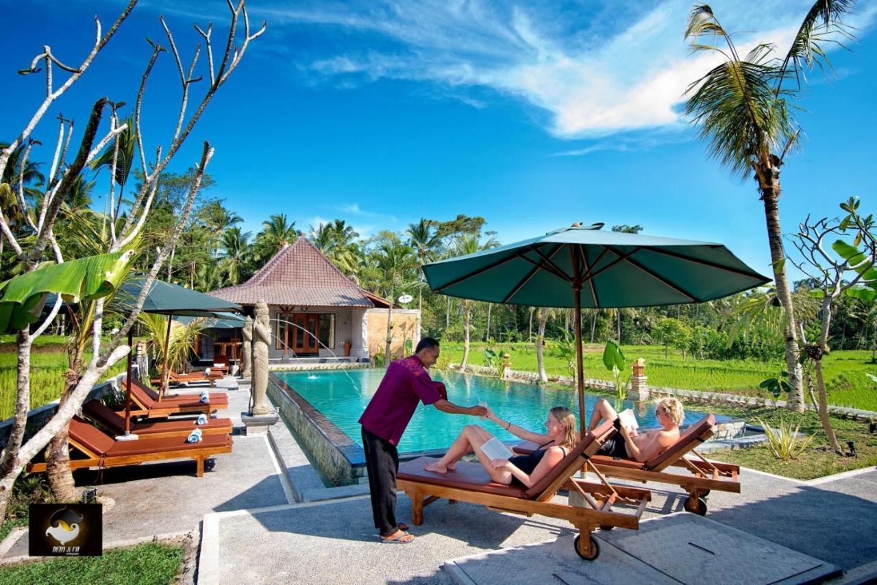 Intan Villa & Suite Ubud Buitenkant foto