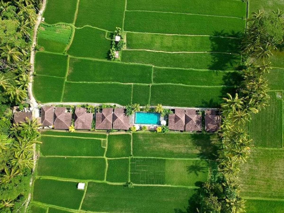 Intan Villa & Suite Ubud Buitenkant foto